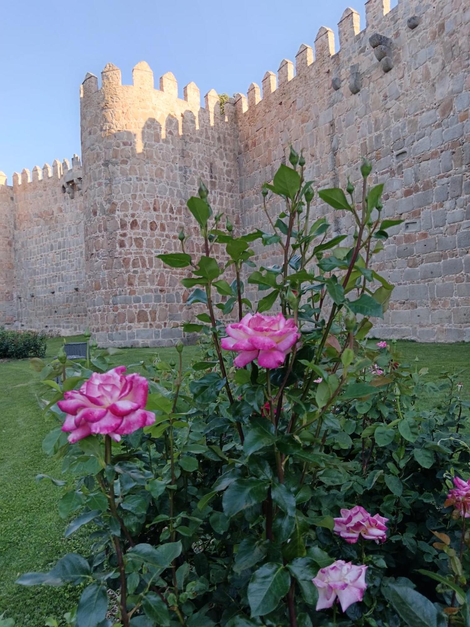 Ávila Hotel Don Carmelo מראה חיצוני תמונה